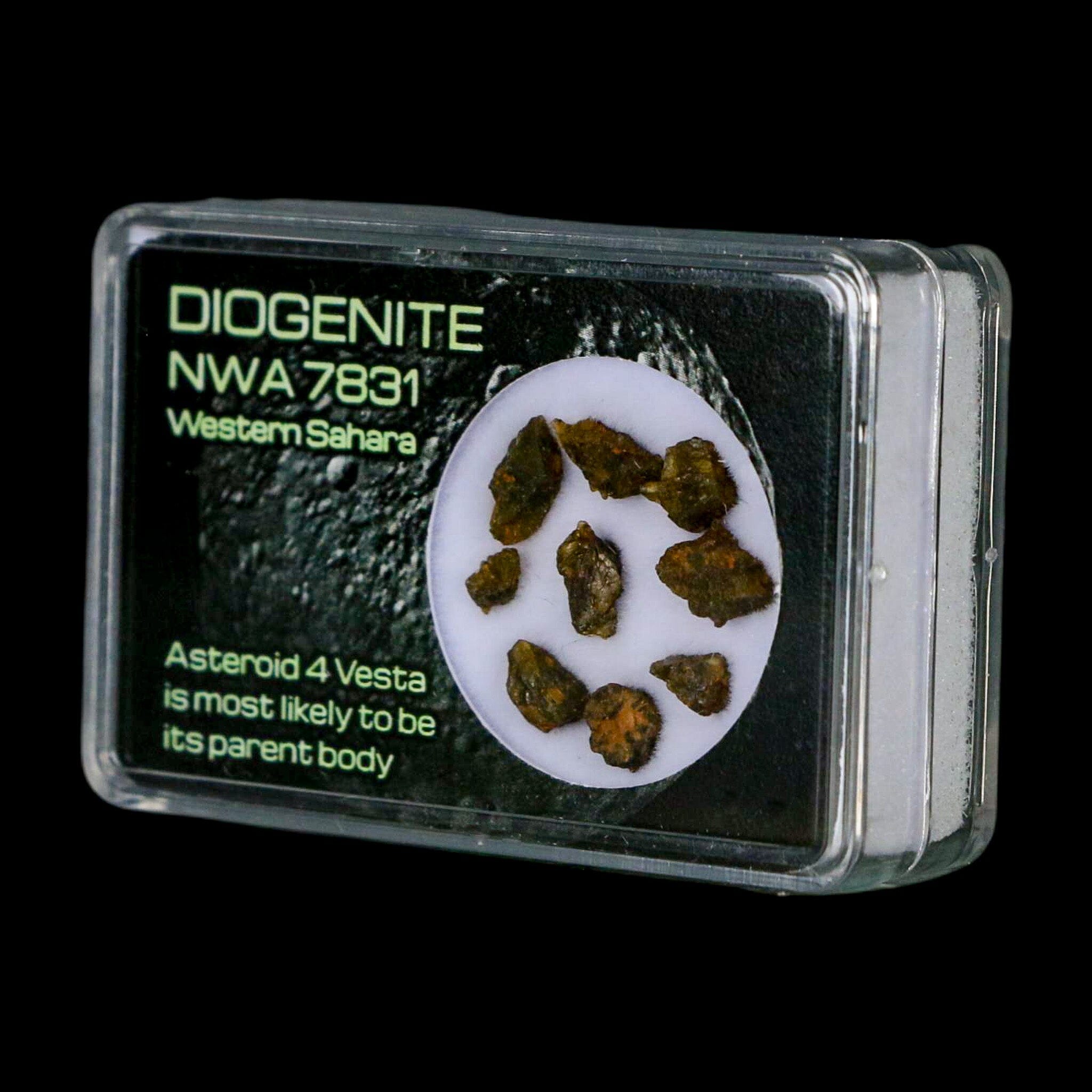 Diogenite Meteorites Asteroid 4 Vesta Specimen NMW 7831 Western Sahara Display - Fossil Age Minerals