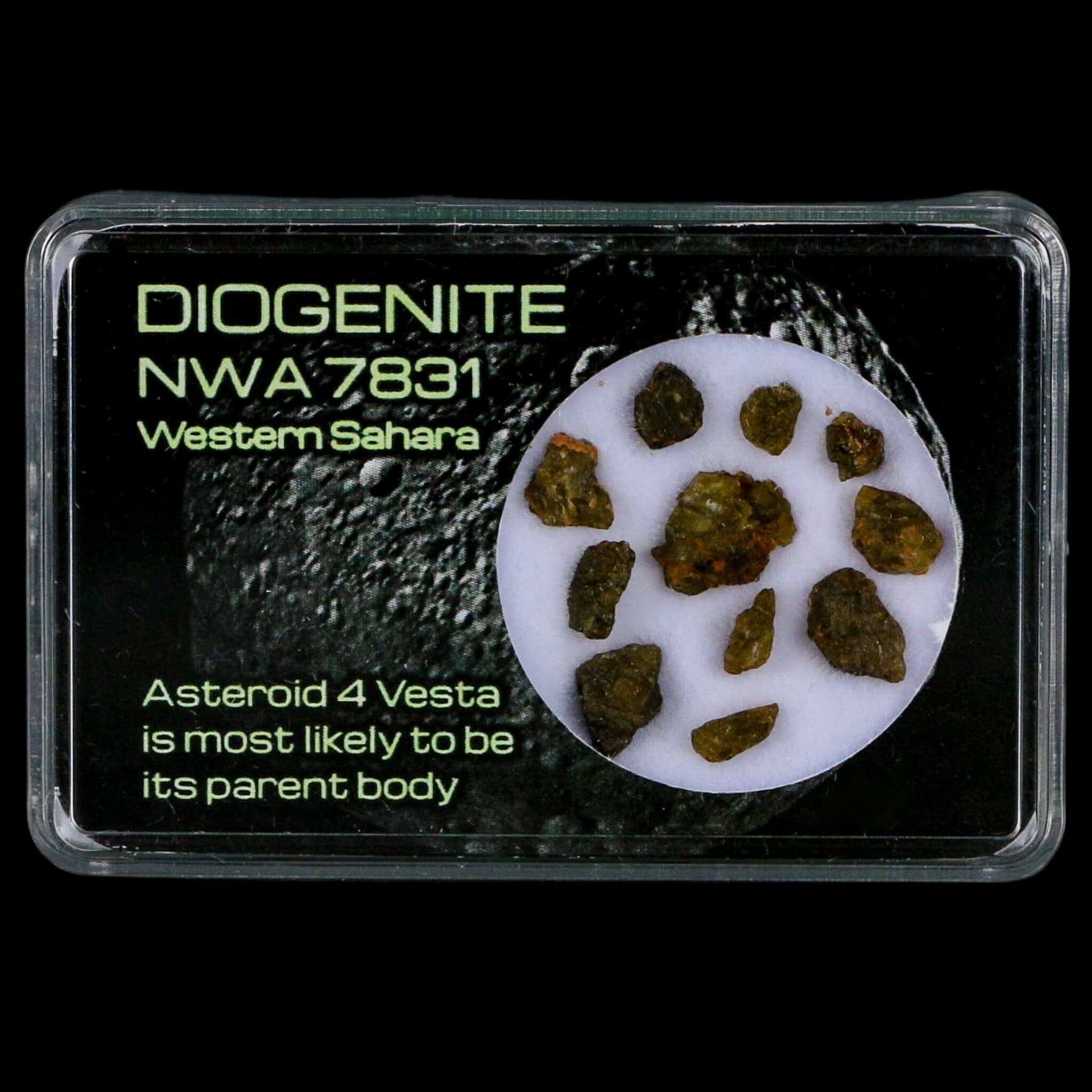 Diogenite Meteorites Asteroid 4 Vesta Specimen NMW 7831 Western Sahara Display - Fossil Age Minerals