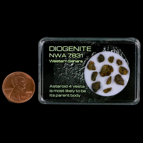 Diogenite Meteorites Asteroid 4 Vesta Specimen NMW 7831 Western Sahara Display - Fossil Age Minerals
