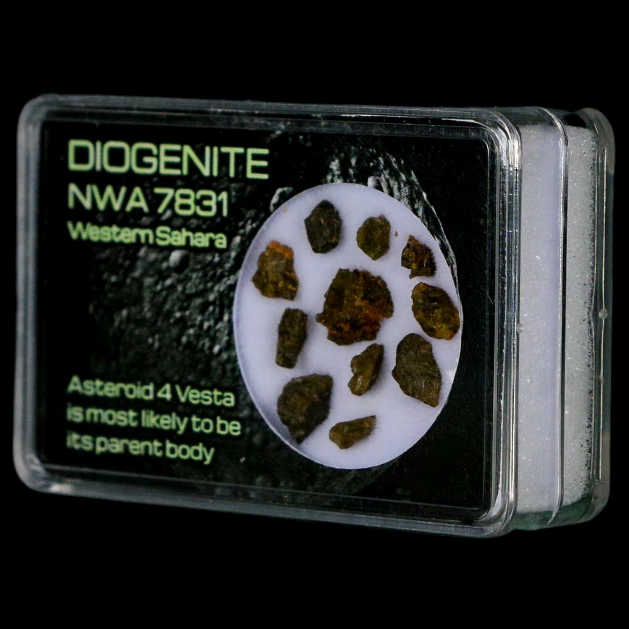 Diogenite Meteorites Asteroid 4 Vesta Specimen NMW 7831 Western Sahara Display - Fossil Age Minerals