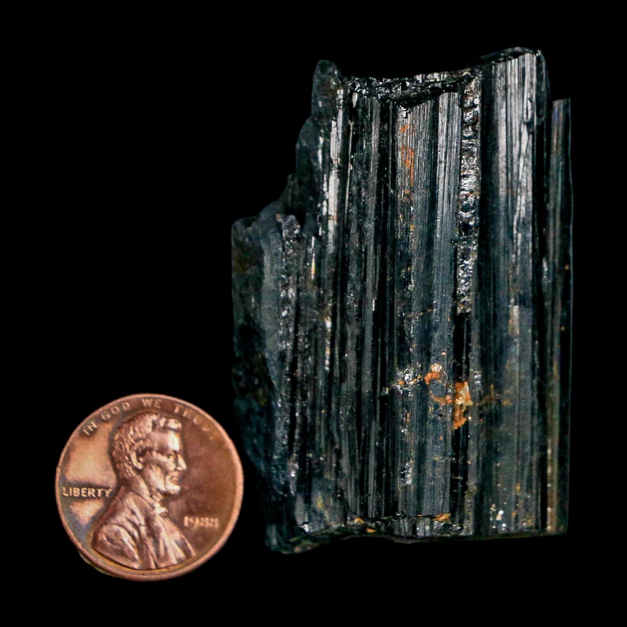 1.9" Natural Rough Black Tourmaline Mineral Crystal Specimen Schorl Brazil - Fossil Age Minerals