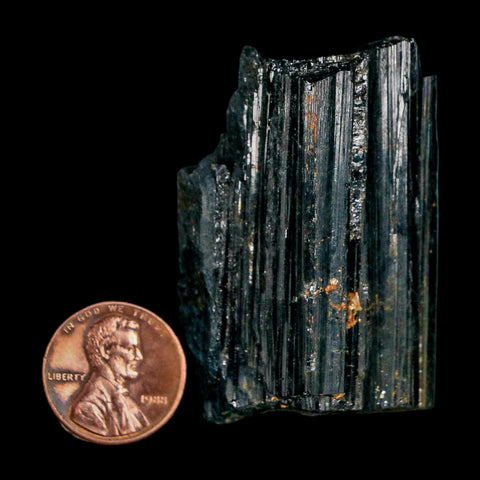 1.9" Natural Rough Black Tourmaline Mineral Crystal Specimen Schorl Brazil - Fossil Age Minerals