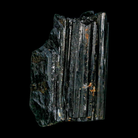 1.9" Natural Rough Black Tourmaline Mineral Crystal Specimen Schorl Brazil - Fossil Age Minerals