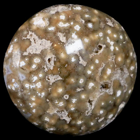 2.6" Natural Polished Ocean Jasper Crystal Palm Stone Location Madagascar Healing