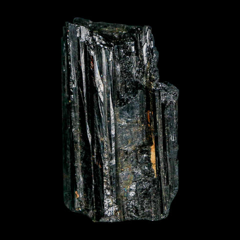 1.9" Natural Rough Black Tourmaline Mineral Crystal Specimen Schorl Brazil - Fossil Age Minerals