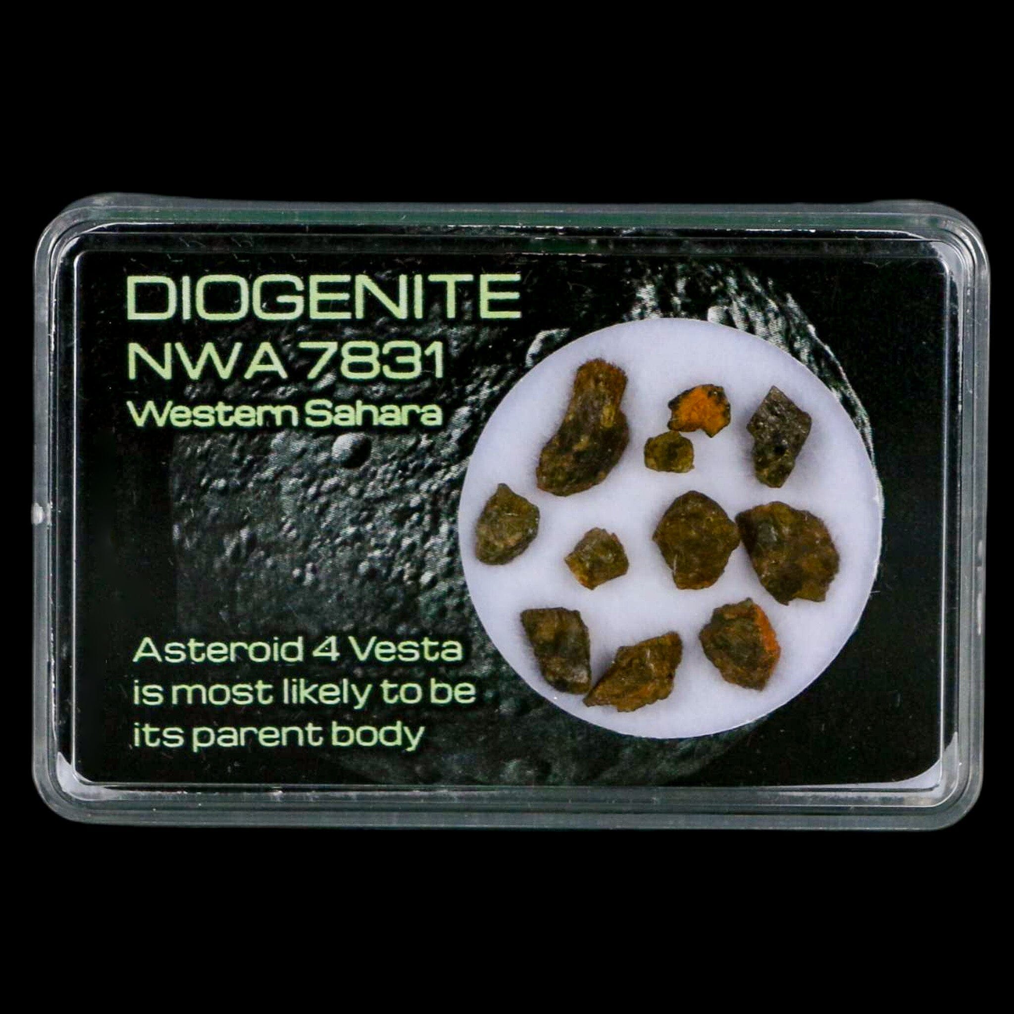 Diogenite Meteorites Asteroid 4 Vesta Specimen NMW 7831 Western Sahara Display - Fossil Age Minerals