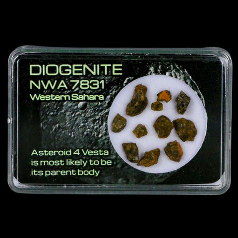 Diogenite Meteorites Asteroid 4 Vesta Specimen NMW 7831 Western Sahara Display - Fossil Age Minerals