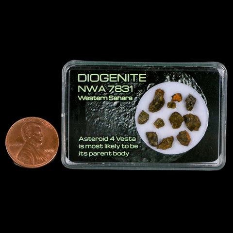 Diogenite Meteorites Asteroid 4 Vesta Specimen NMW 7831 Western Sahara Display - Fossil Age Minerals