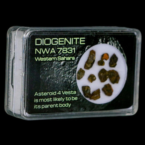 Diogenite Meteorites Asteroid 4 Vesta Specimen NMW 7831 Western Sahara Display - Fossil Age Minerals