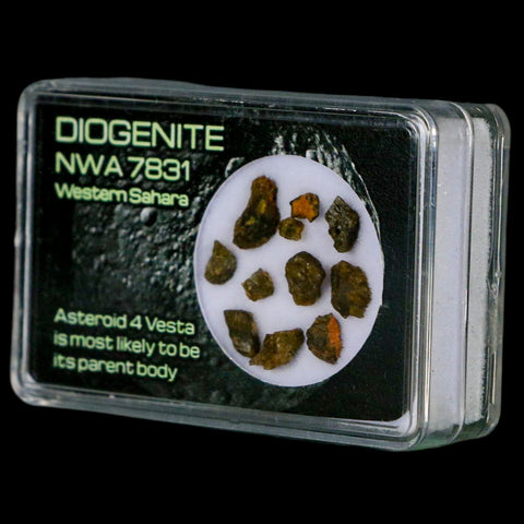 Diogenite Meteorites Asteroid 4 Vesta Specimen NMW 7831 Western Sahara Display - Fossil Age Minerals