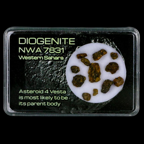 Diogenite Meteorites Asteroid 4 Vesta Specimen NMW 7831 Western Sahara Display - Fossil Age Minerals