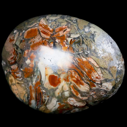 2.8" Natural Polished Ocean Jasper Crystal Palm Stone Location Madagascar Healing - Fossil Age Minerals