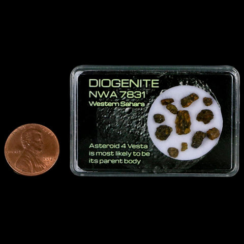 Diogenite Meteorites Asteroid 4 Vesta Specimen NMW 7831 Western Sahara Display - Fossil Age Minerals