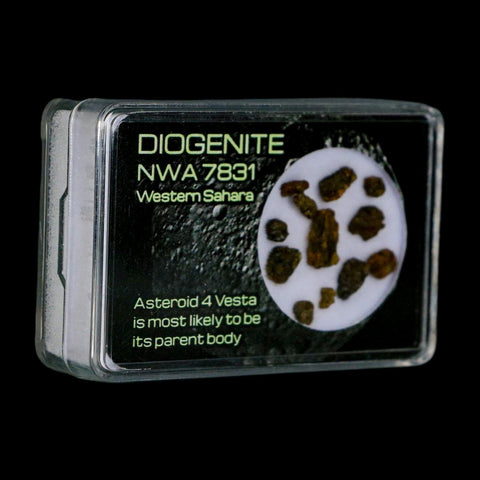 Diogenite Meteorites Asteroid 4 Vesta Specimen NMW 7831 Western Sahara Display - Fossil Age Minerals