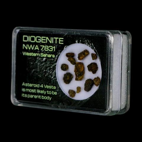 Diogenite Meteorites Asteroid 4 Vesta Specimen NMW 7831 Western Sahara Display - Fossil Age Minerals