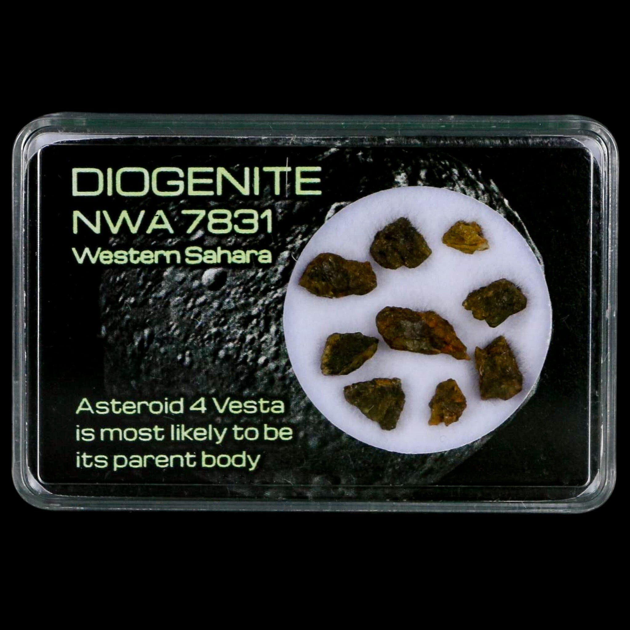 Diogenite Meteorites Asteroid 4 Vesta Specimen NMW 7831 Western Sahara Display - Fossil Age Minerals