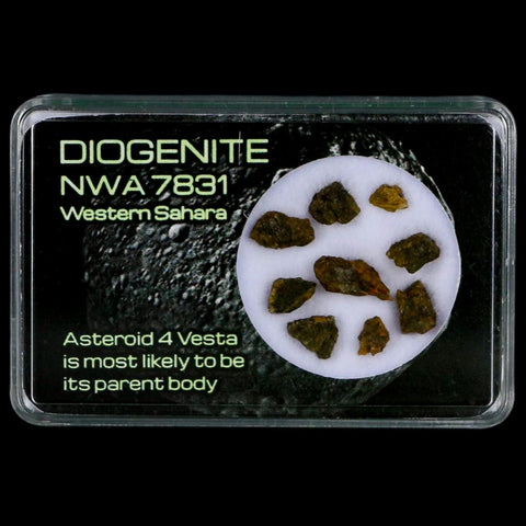 Diogenite Meteorites Asteroid 4 Vesta Specimen NMW 7831 Western Sahara Display - Fossil Age Minerals