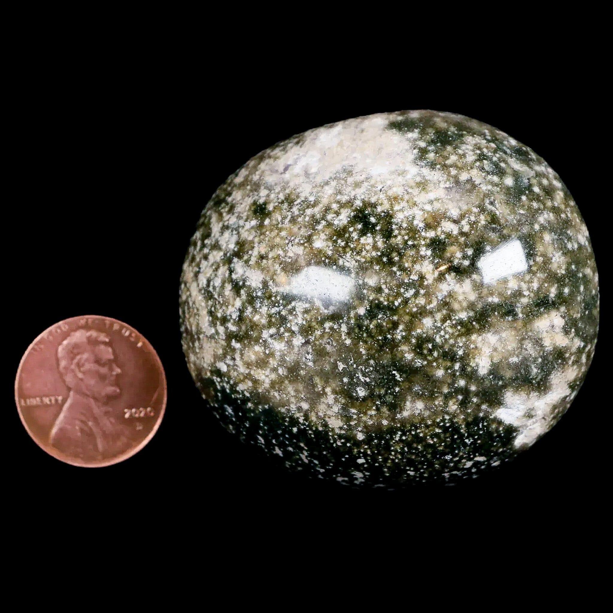 2.4" Natural Polished Ocean Jasper Crystal Palm Stone Location Madagascar Healing - Fossil Age Minerals