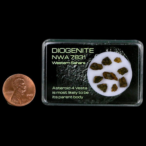 Diogenite Meteorites Asteroid 4 Vesta Specimen NMW 7831 Western Sahara Display - Fossil Age Minerals