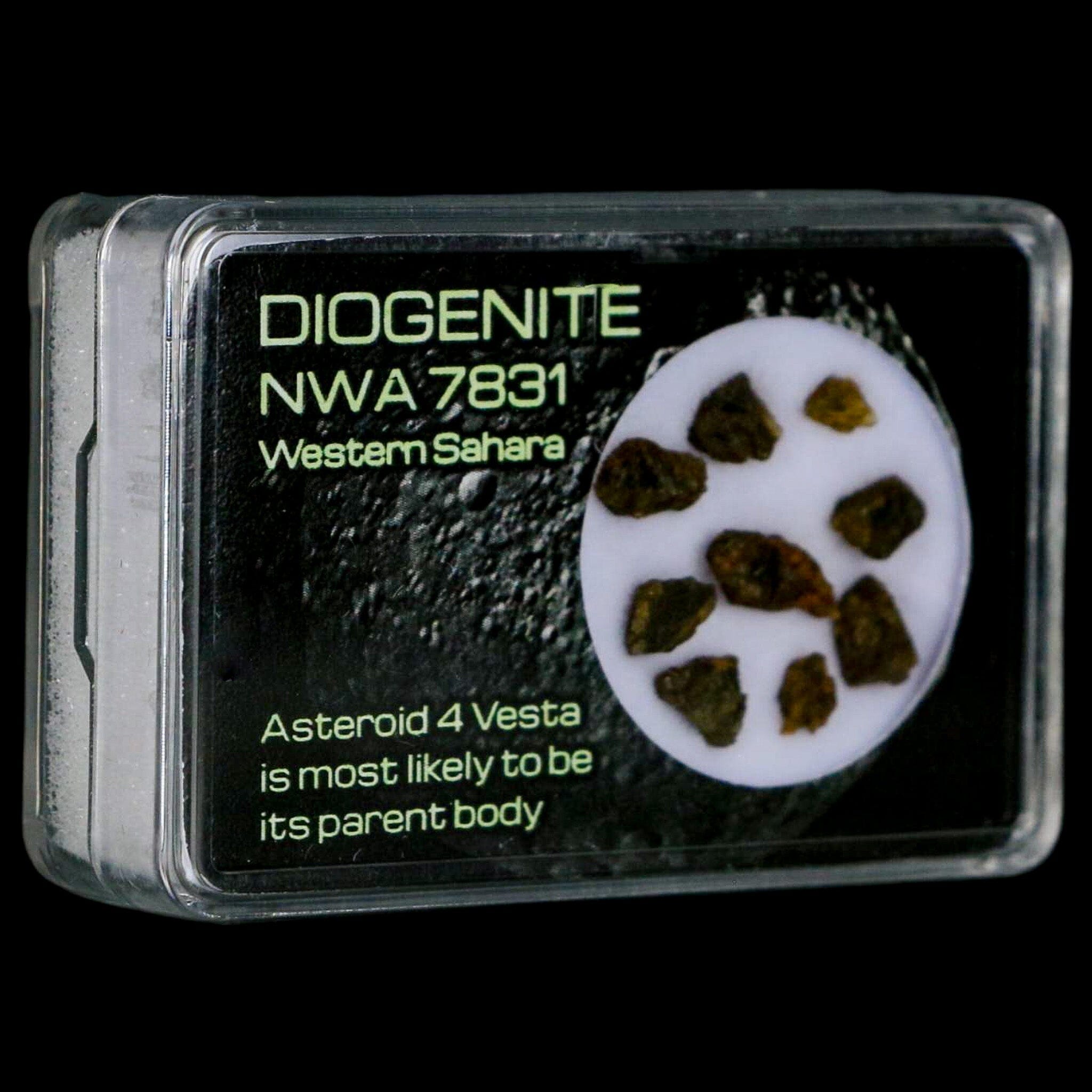 Diogenite Meteorites Asteroid 4 Vesta Specimen NMW 7831 Western Sahara Display - Fossil Age Minerals