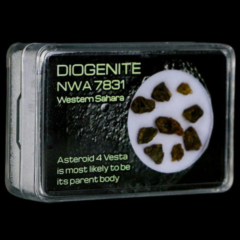 Diogenite Meteorites Asteroid 4 Vesta Specimen NMW 7831 Western Sahara Display - Fossil Age Minerals