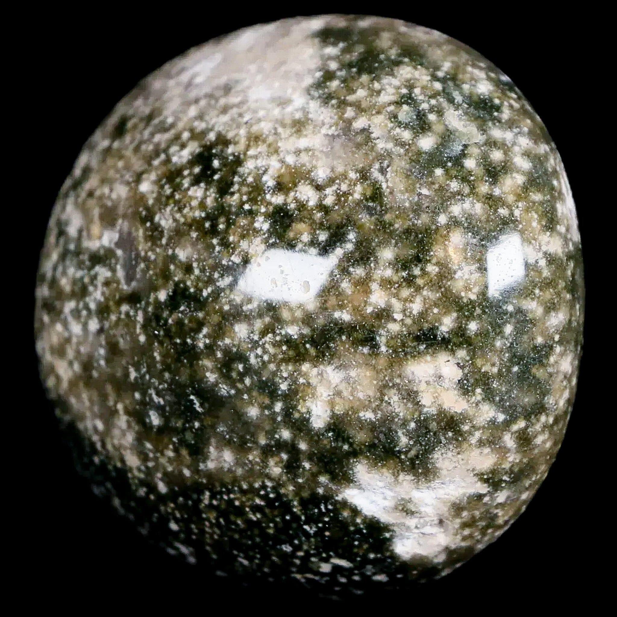 2.4" Natural Polished Ocean Jasper Crystal Palm Stone Location Madagascar Healing - Fossil Age Minerals