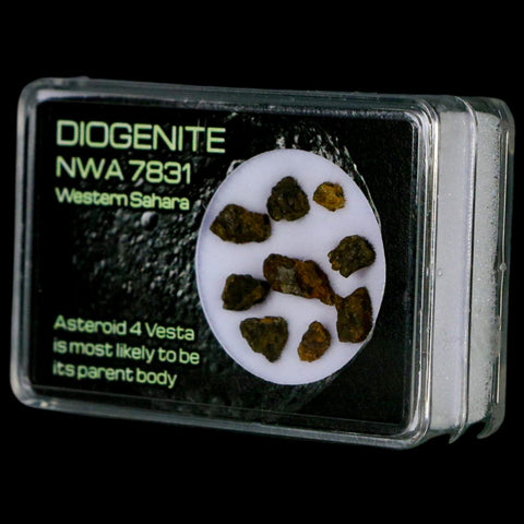 Diogenite Meteorites Asteroid 4 Vesta Specimen NMW 7831 Western Sahara Display - Fossil Age Minerals