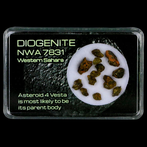 Diogenite Meteorites Asteroid 4 Vesta Specimen NMW 7831 Western Sahara Display - Fossil Age Minerals