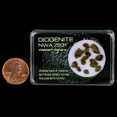 Diogenite Meteorites Asteroid 4 Vesta Specimen NMW 7831 Western Sahara Display - Fossil Age Minerals
