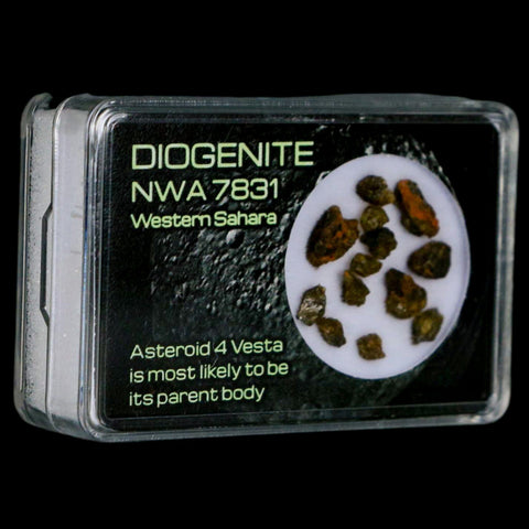 Diogenite Meteorites Asteroid 4 Vesta Specimen NMW 7831 Western Sahara Display - Fossil Age Minerals