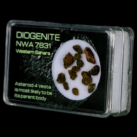 Diogenite Meteorites Asteroid 4 Vesta Specimen NMW 7831 Western Sahara Display - Fossil Age Minerals