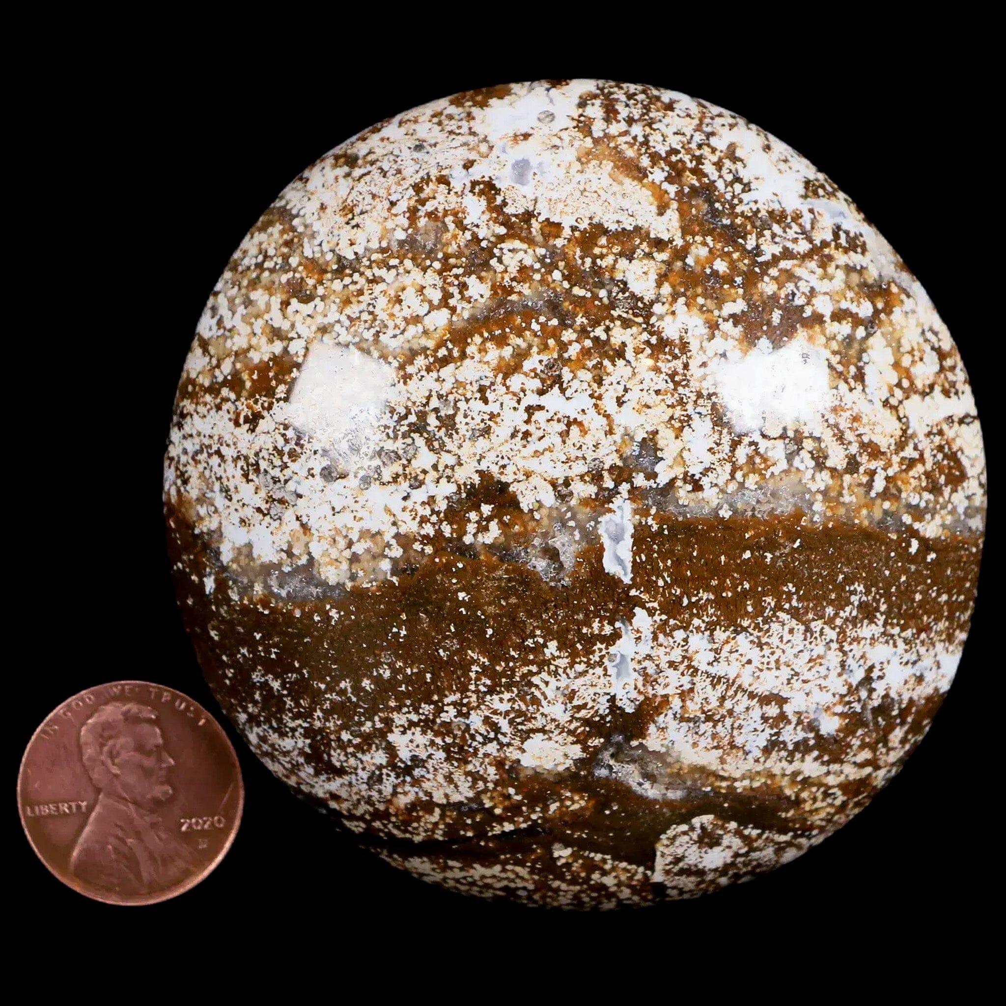 3.1" Natural Polished Ocean Jasper Crystal Palm Stone Location Madagascar Healing - Fossil Age Minerals