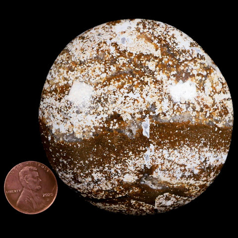 3.1" Natural Polished Ocean Jasper Crystal Palm Stone Location Madagascar Healing - Fossil Age Minerals