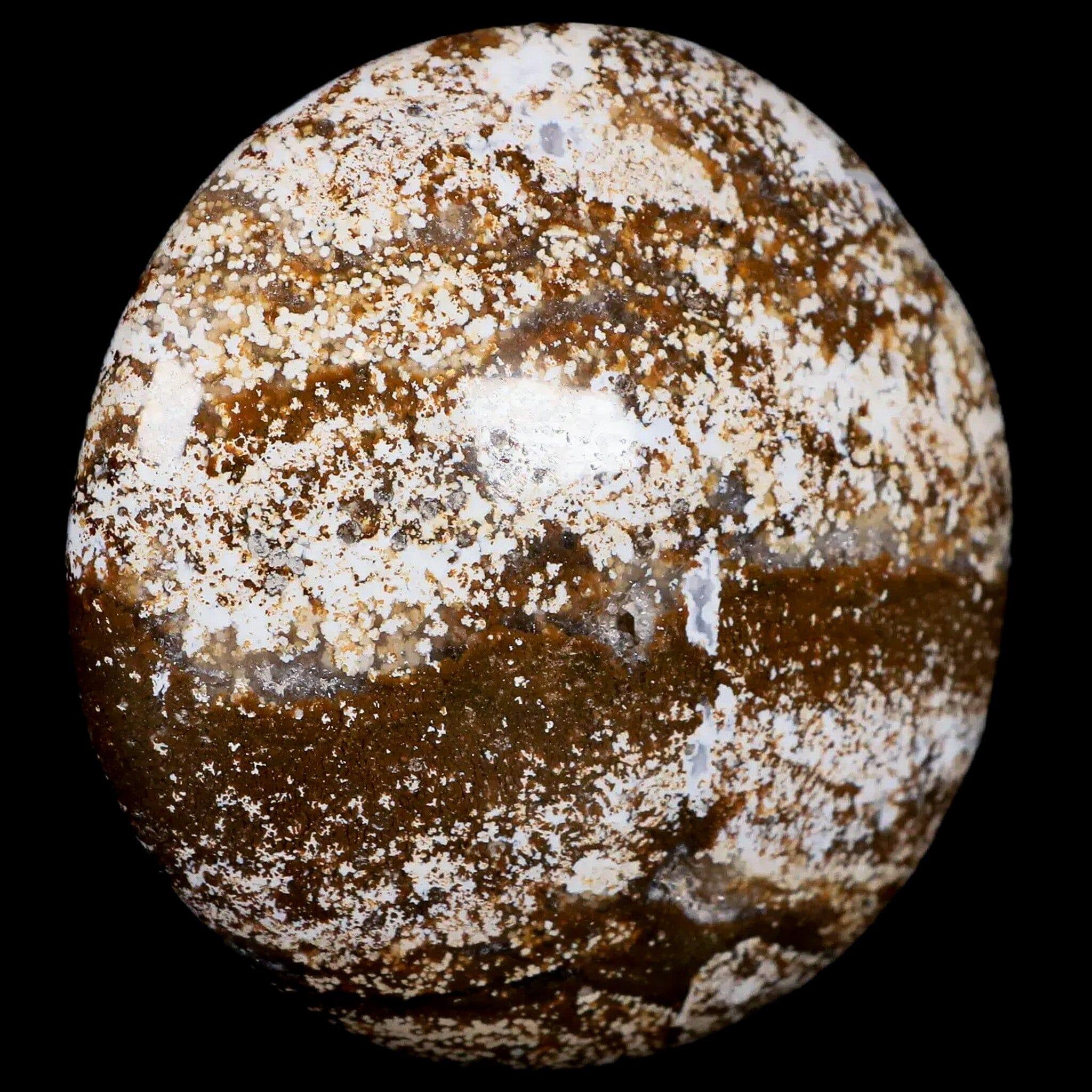 3.1" Natural Polished Ocean Jasper Crystal Palm Stone Location Madagascar Healing - Fossil Age Minerals