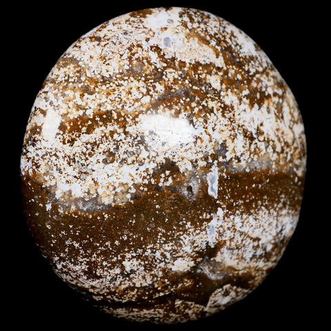 3.1" Natural Polished Ocean Jasper Crystal Palm Stone Location Madagascar Healing - Fossil Age Minerals