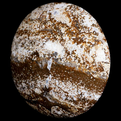 3.1" Natural Polished Ocean Jasper Crystal Palm Stone Location Madagascar Healing - Fossil Age Minerals