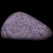 2.3" Sauropod Dinosaur Stomach Stone Gastrolith Rock Gizzard Stone COA