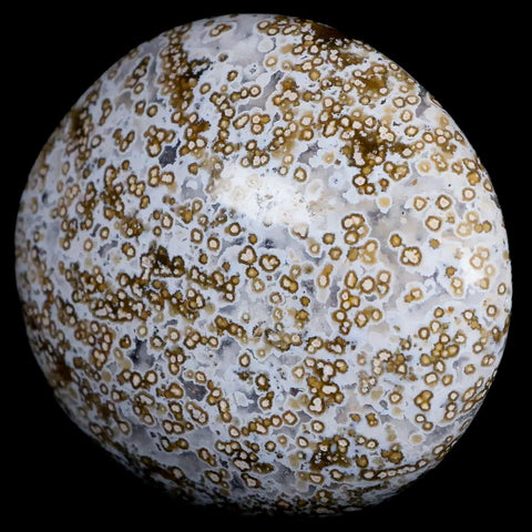 2.7" Natural Polished Ocean Jasper Crystal Palm Stone Location Madagascar Healing - Fossil Age Minerals