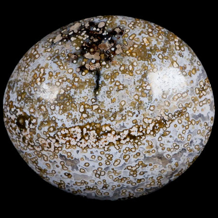 2.7" Natural Polished Ocean Jasper Crystal Palm Stone Location Madagascar Healing