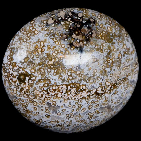 2.7" Natural Polished Ocean Jasper Crystal Palm Stone Location Madagascar Healing - Fossil Age Minerals