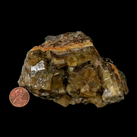 4.3" Natural Yellow Fluorite Cube Crystals On Quartz Crystals Mineral Morocco - Fossil Age Minerals