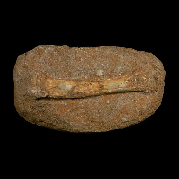 5.5