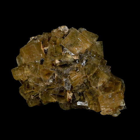 4.2" Natural Yellow Fluorite Cube Crystals On Quartz Crystals Mineral Morocco - Fossil Age Minerals