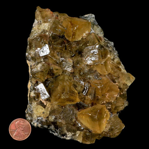 4.6" Natural Yellow Fluorite Cube Crystals On Quartz Crystals Mineral Morocco - Fossil Age Minerals