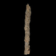 XXL 7.5" Fulgurite Petrified Lighting Strike Glass Sahara Desert Algeria