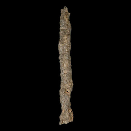 XXL 7.5" Fulgurite Petrified Lighting Strike Glass Sahara Desert Algeria