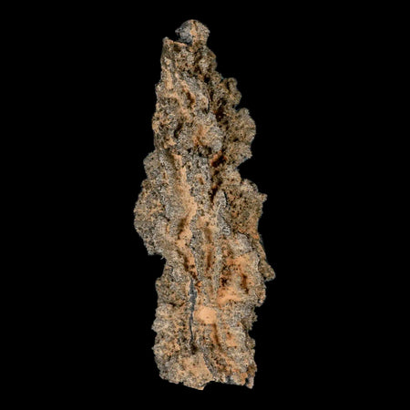 XXL 6.4" Fulgurite Petrified Lighting Strike Glass Sahara Desert Algeria