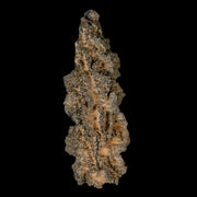XXL 6.4" Fulgurite Petrified Lighting Strike Glass Sahara Desert Algeria