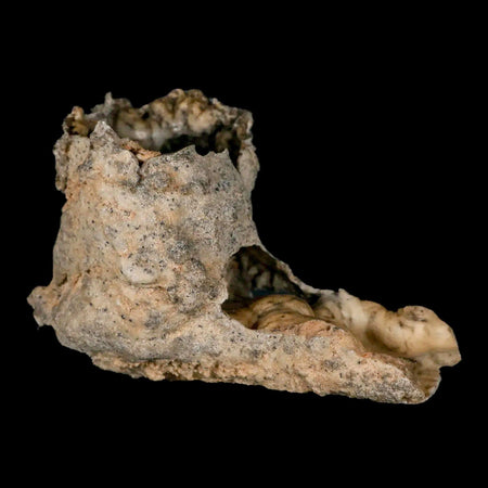 XXL 4.7" Fulgurite Petrified Lighting Strike Glass Sahara Desert Algeria