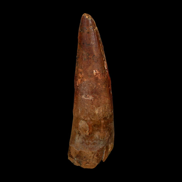 XL 3.3